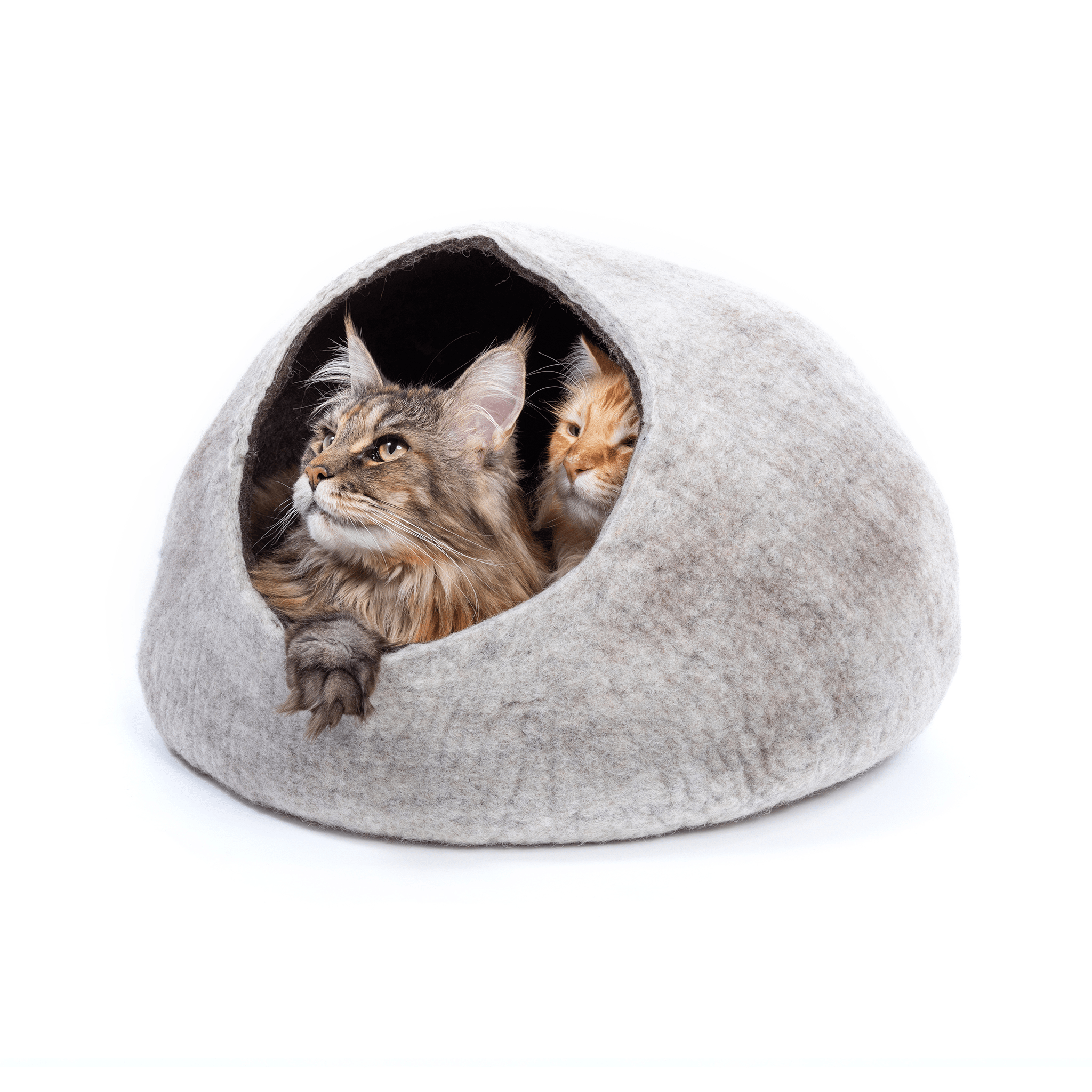 Chocolate Condo for Two Cat Cave Bed