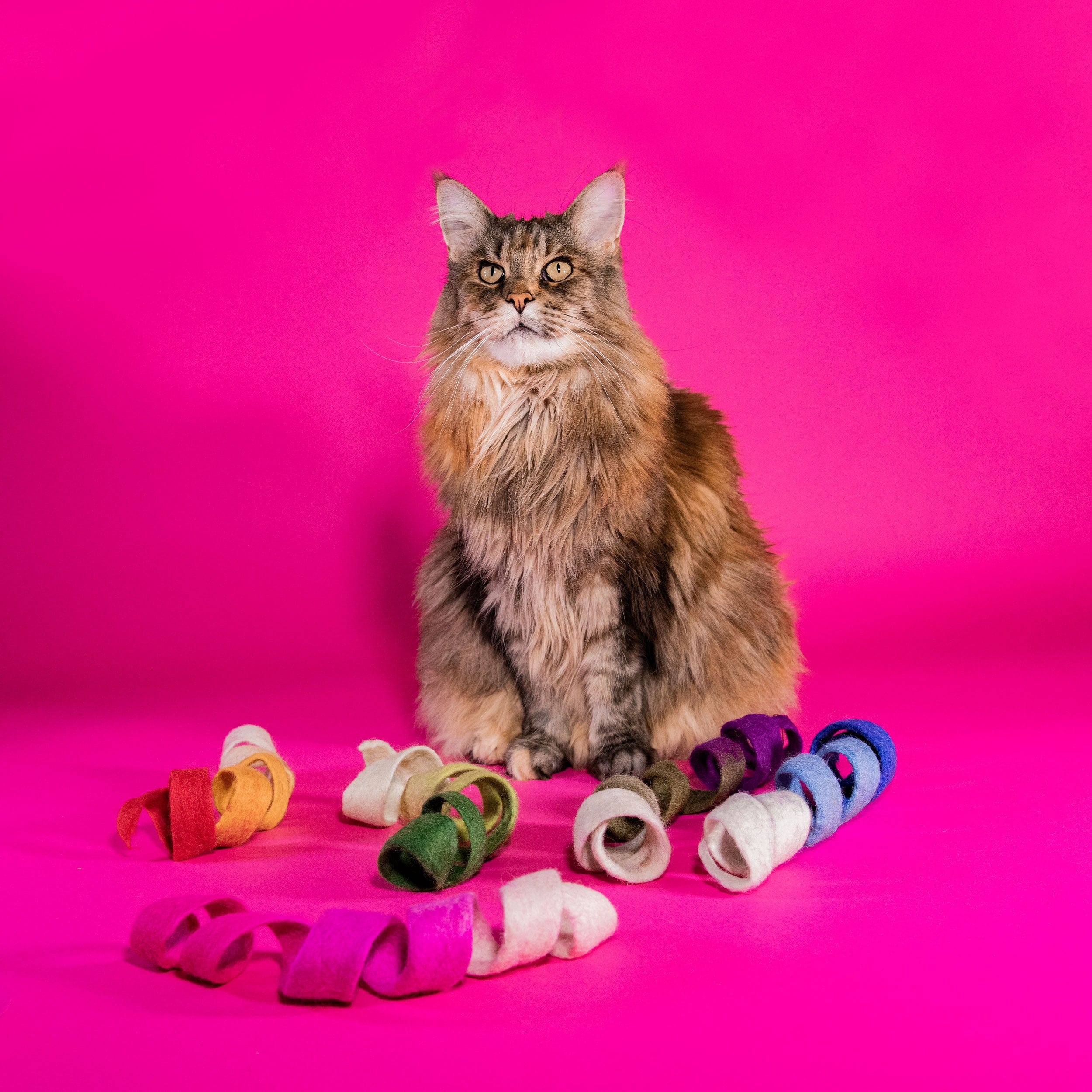 Spiral Cat Toy Spinny Spiral Felt Cat Toy Mimis Daughters