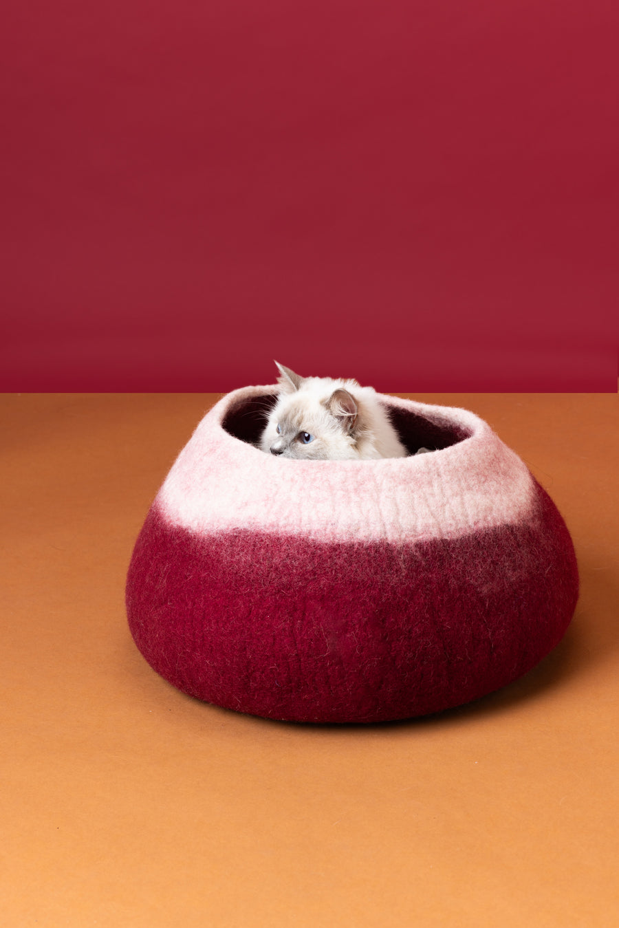 Berry Bliss Cat Basket