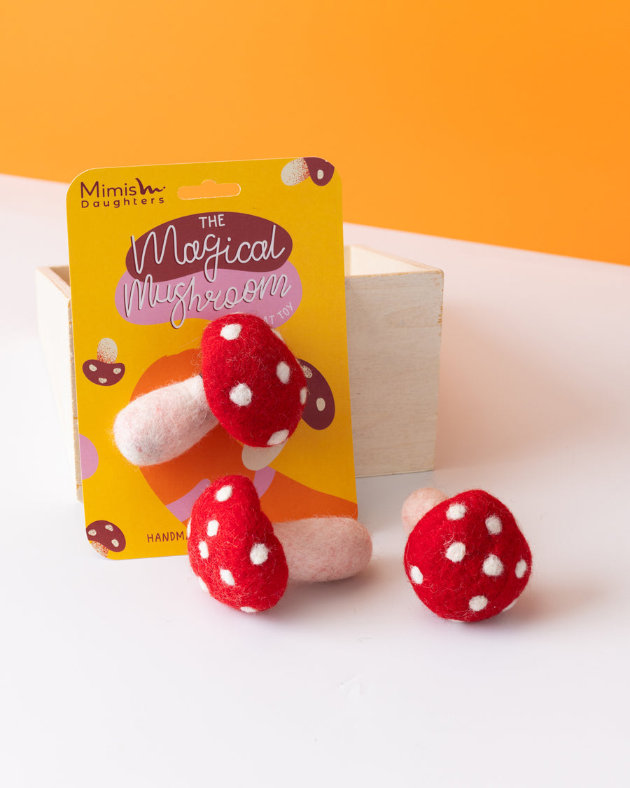 The Magical Mushroom