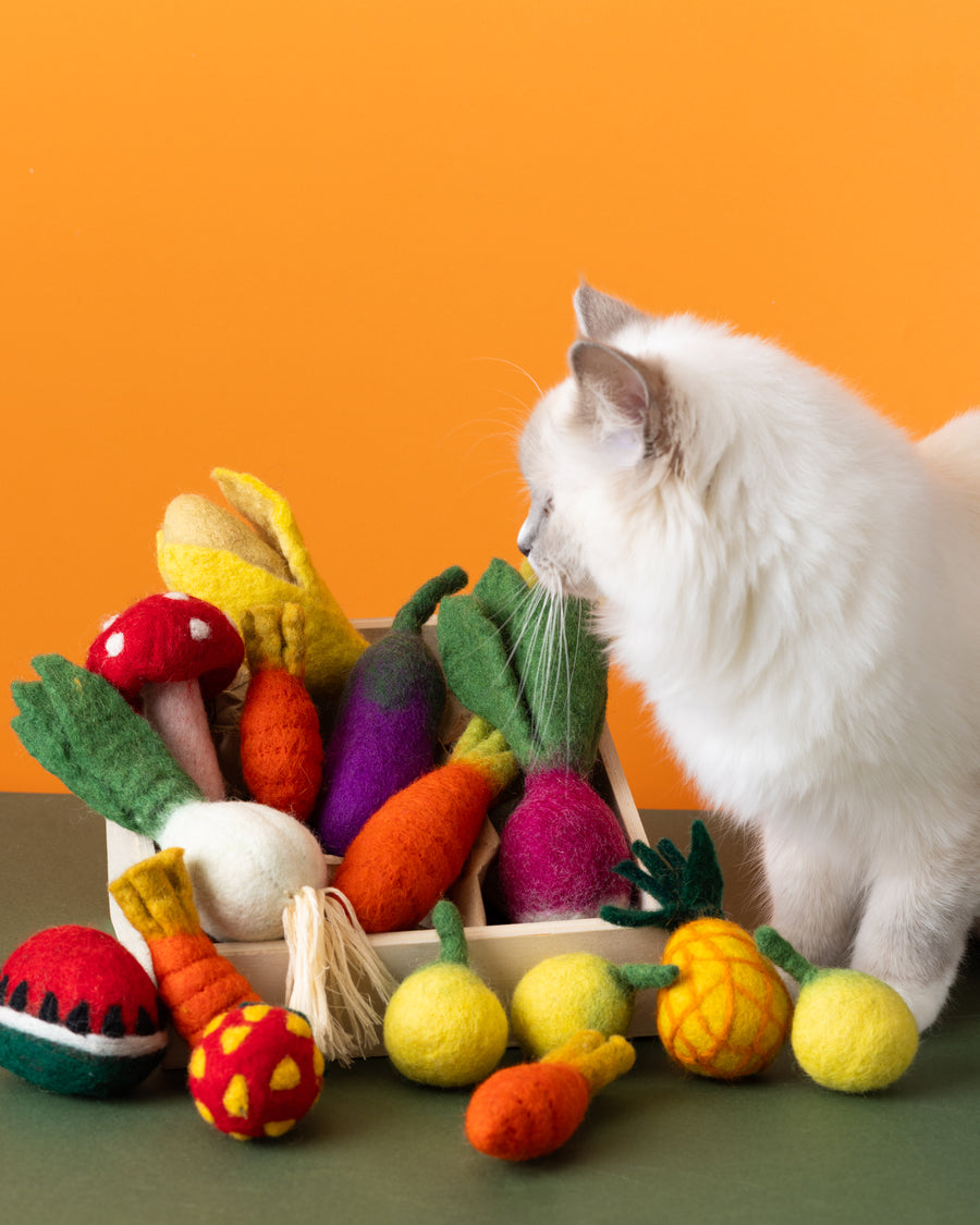 The Ultimate Cat Toy Hamper!