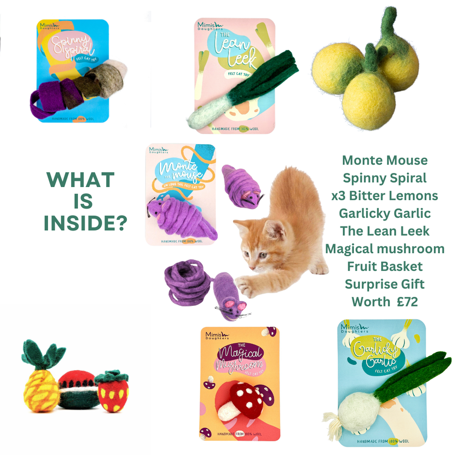 7 Day Advent Cat Toy Calendar!!