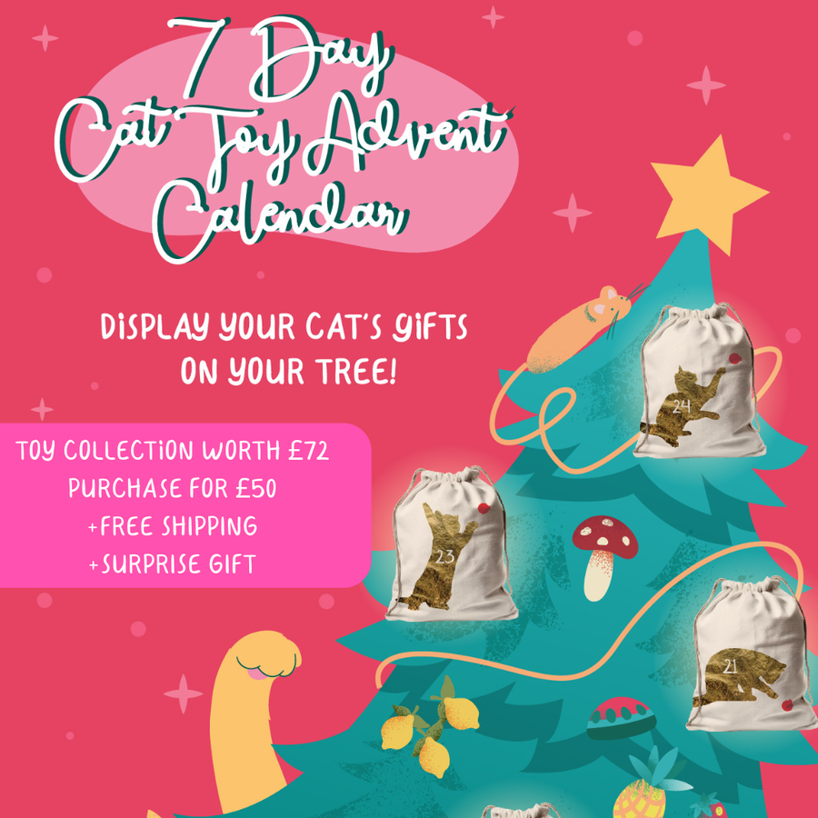 7 Day Advent Cat Toy Calendar!!