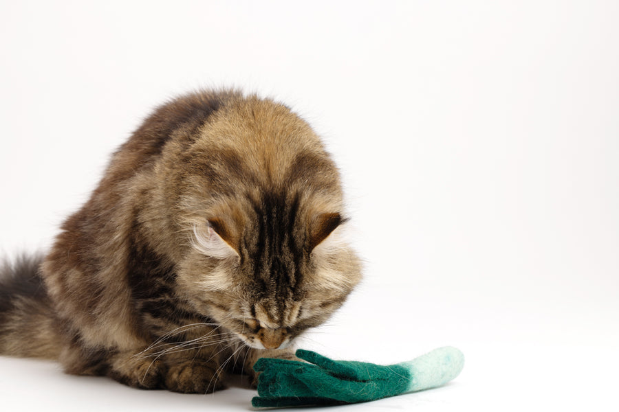 Lean Leek - Felt Cat Toy