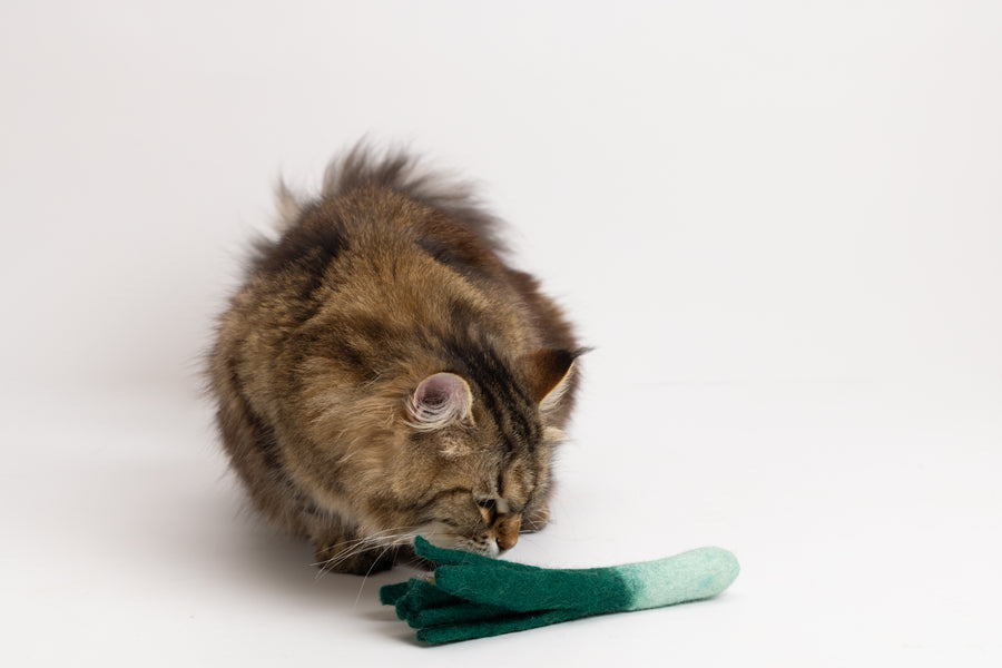 Lean Leek - Felt Cat Toy