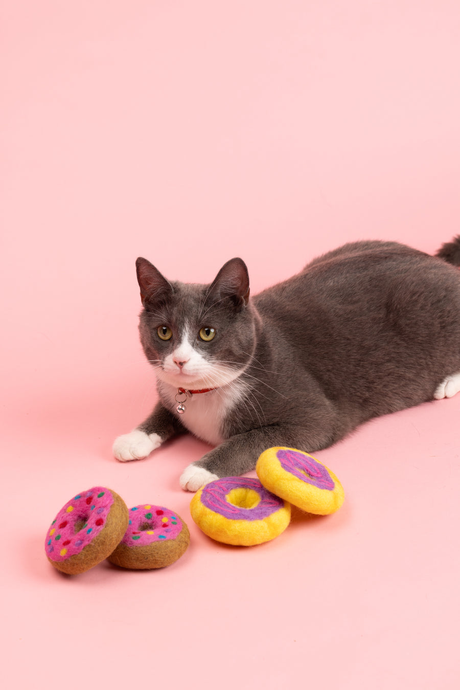 Fluffy Doughnut