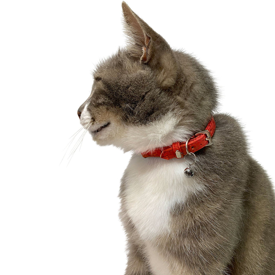 Red Cork Cat Collar