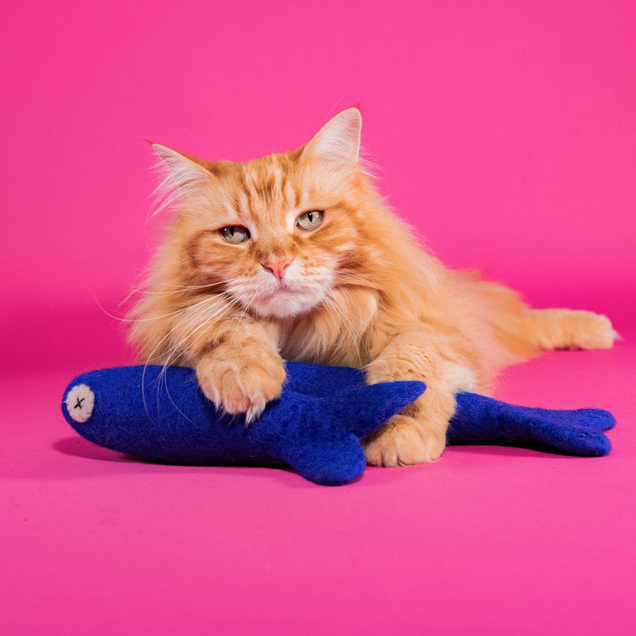 Felt Cat Toys - Freddy The Big Fish | Mimis Daughters