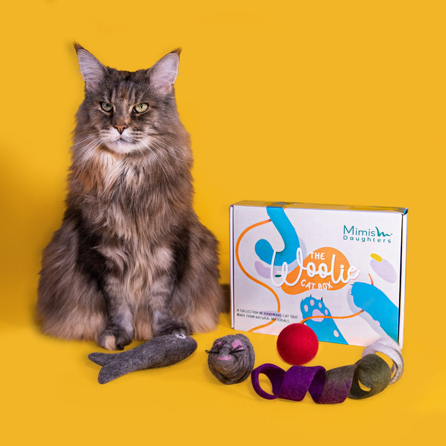 Eco Cat Toy - The Woolie Cat Toy Box | Mimis Daughters 